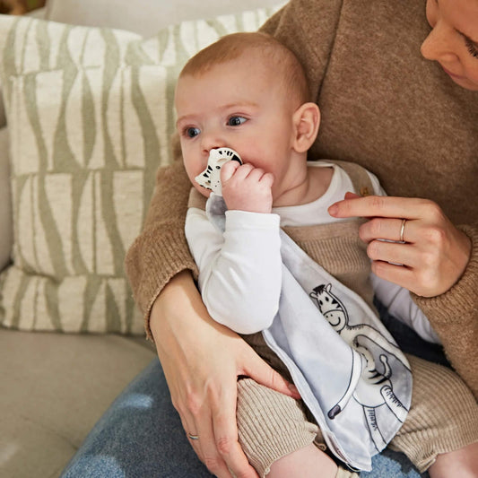 Baby sitting on a parent’s lap while holding the grey comforter and using the zebra-shaped silicone soother.