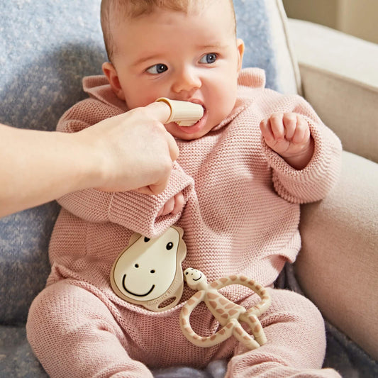 A baby sitting on a chair while an adult gently brushes the baby's gums with a silicone finger toothbrush.