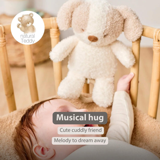 A plush dog musical toy hangs on a cot rail beside a sleeping baby, with on-image text reading “Musical hug,” “Cute cuddly friend,” and “Melody to dream away.”