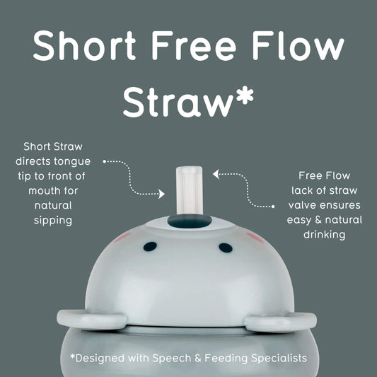Graphic of a grey koala design sippy cup lid with text explaining 'Short Free Flow Straw' on a grey background
