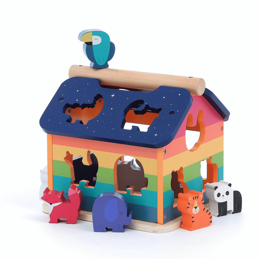 Vilac Andy Westface Shape Sorter