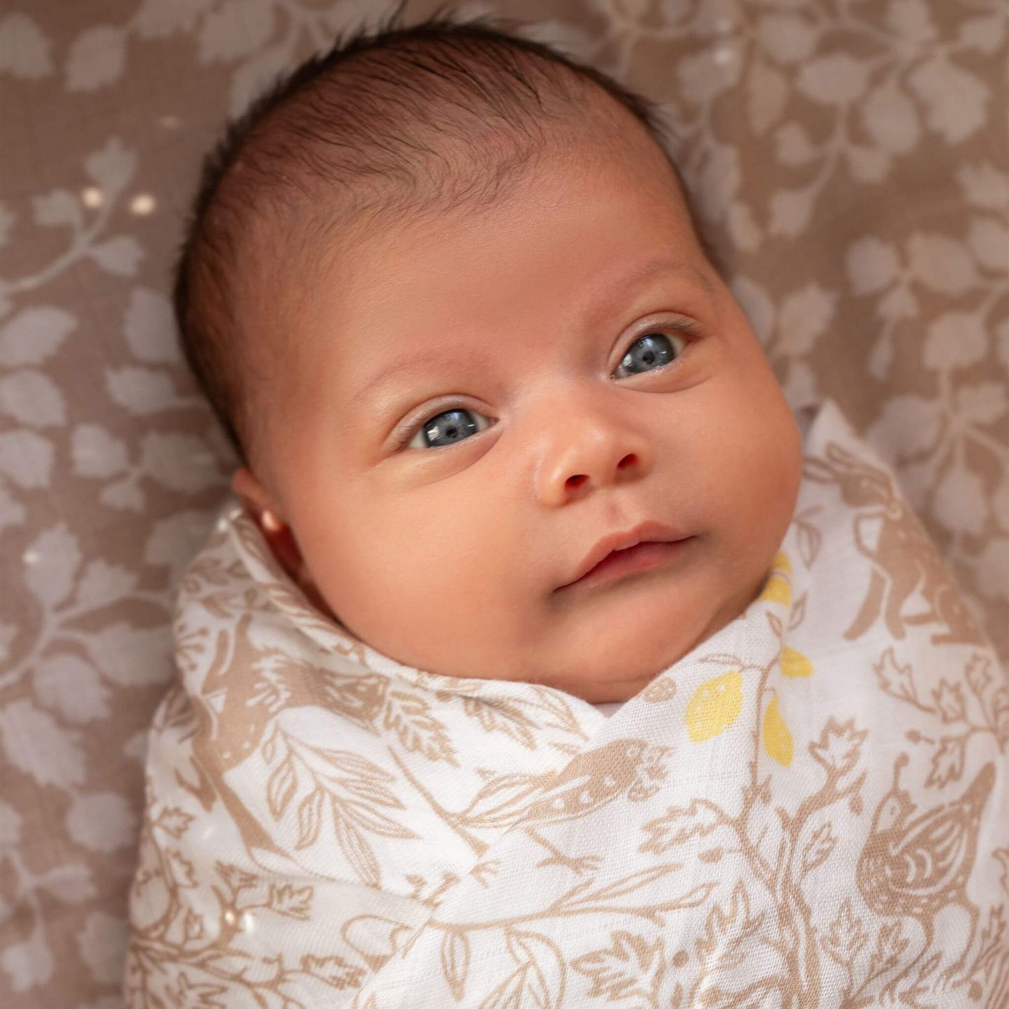 aden + anais Boutique Silky Soft Swaddle - 3pk (Natural Woodland)