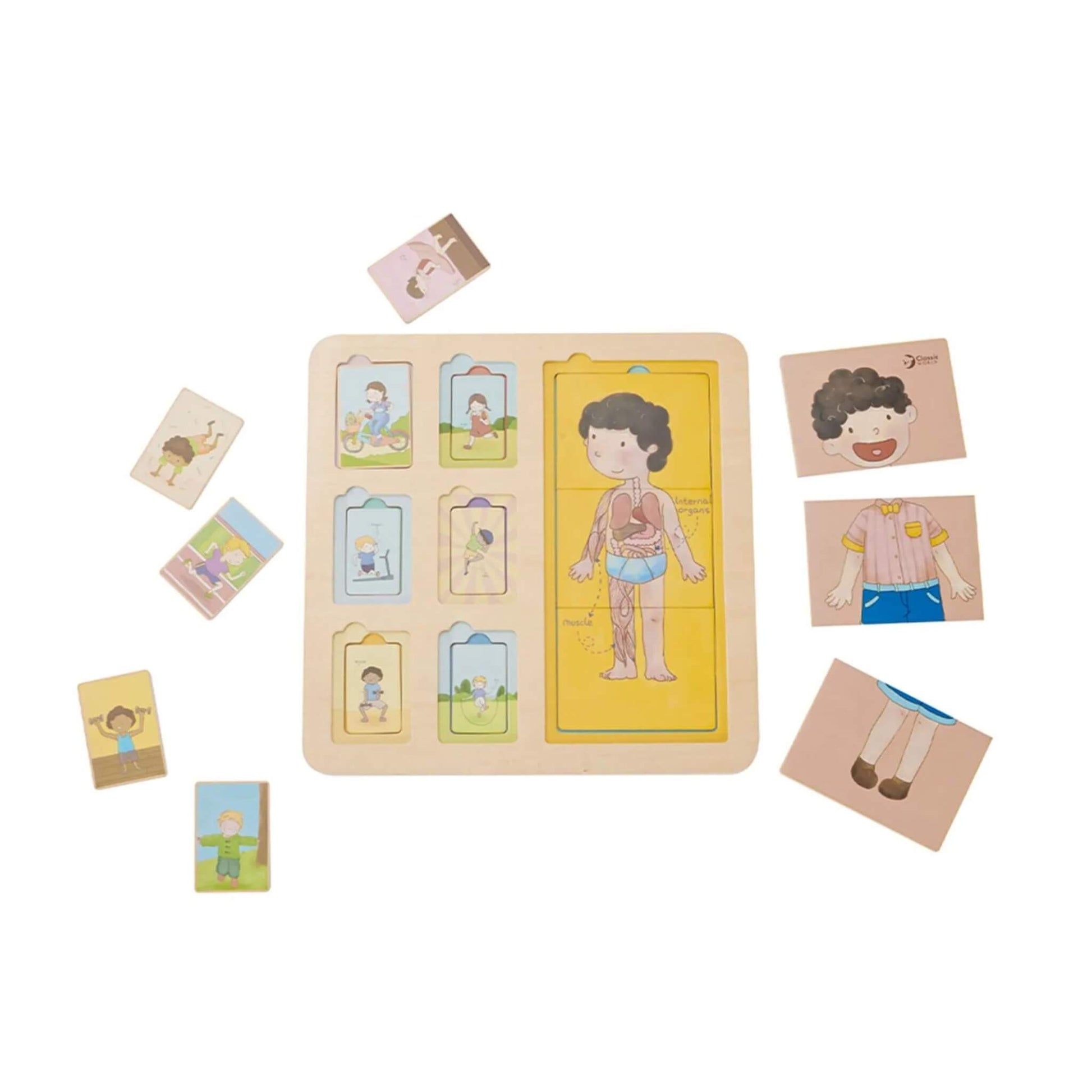 Wooden puzzle board with body puzzle pieces and activity tiles, some removed to reveal illustrated organs underneath.