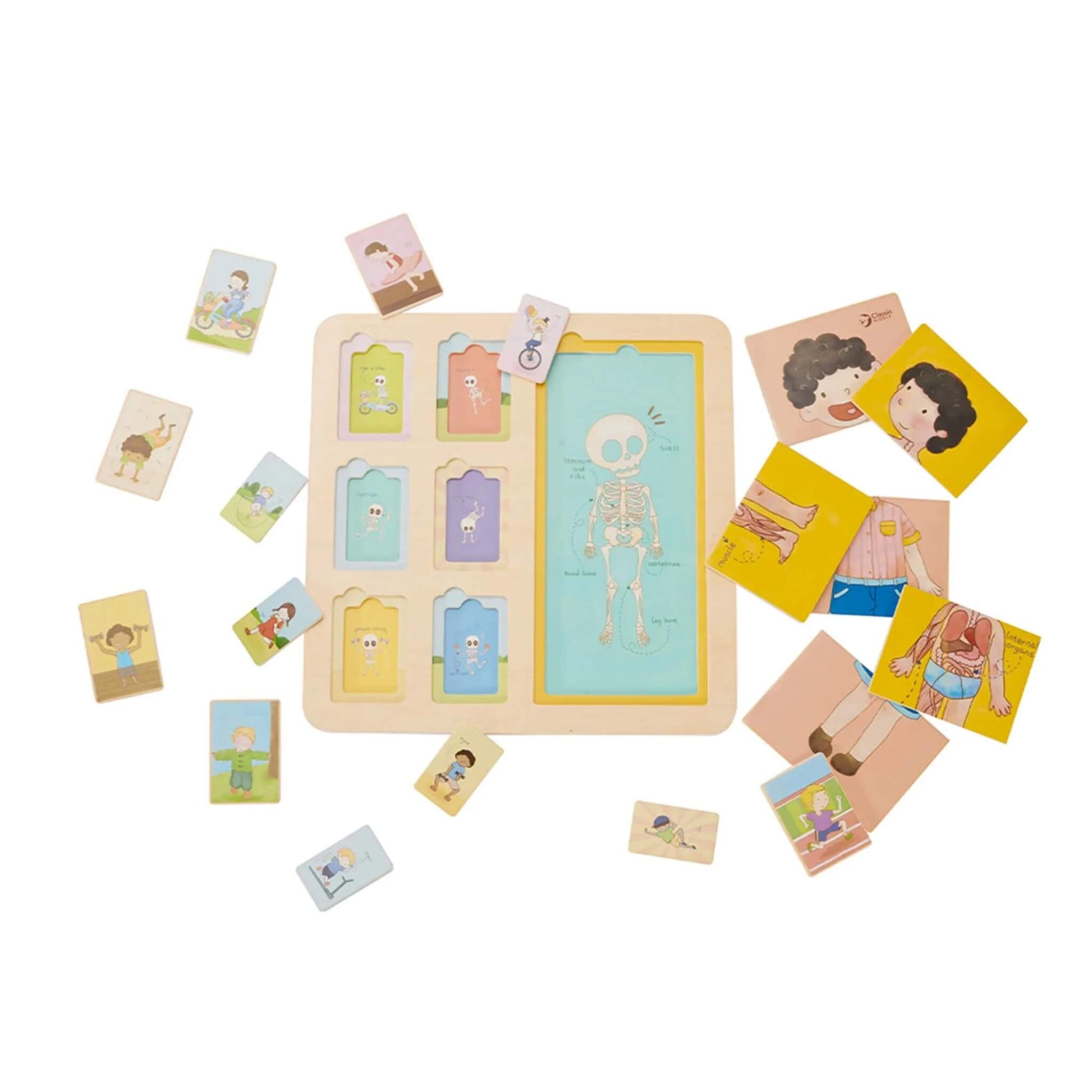 Wooden body puzzle with pieces spread out, showing anatomical layers like muscles and bones alongside playful activity illustrations.