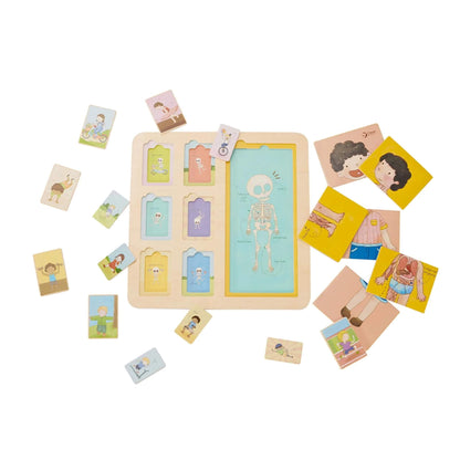 Wooden body puzzle with pieces spread out, showing anatomical layers like muscles and bones alongside playful activity illustrations.