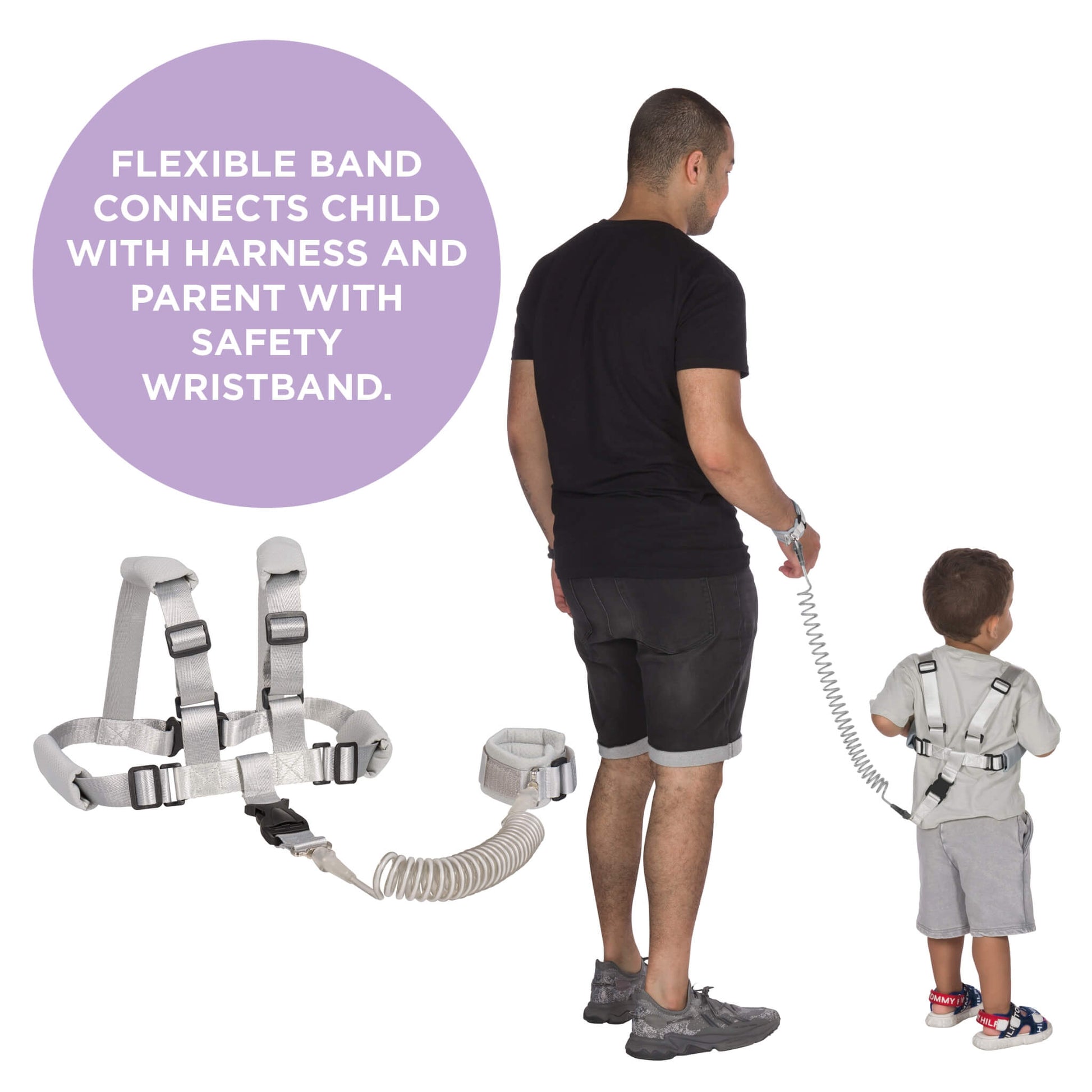 A baby safety harness system shown on both a man and a toddler, with a coiled connecting band and a purple text circle explaining the connection. The harnesses are light gey with black buckles.