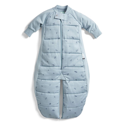 The ergoPouch Sleep Suit Bag 2.5 TOG in Dragonflies print, shown in sleep suit mode with long sleeves and separated legs.