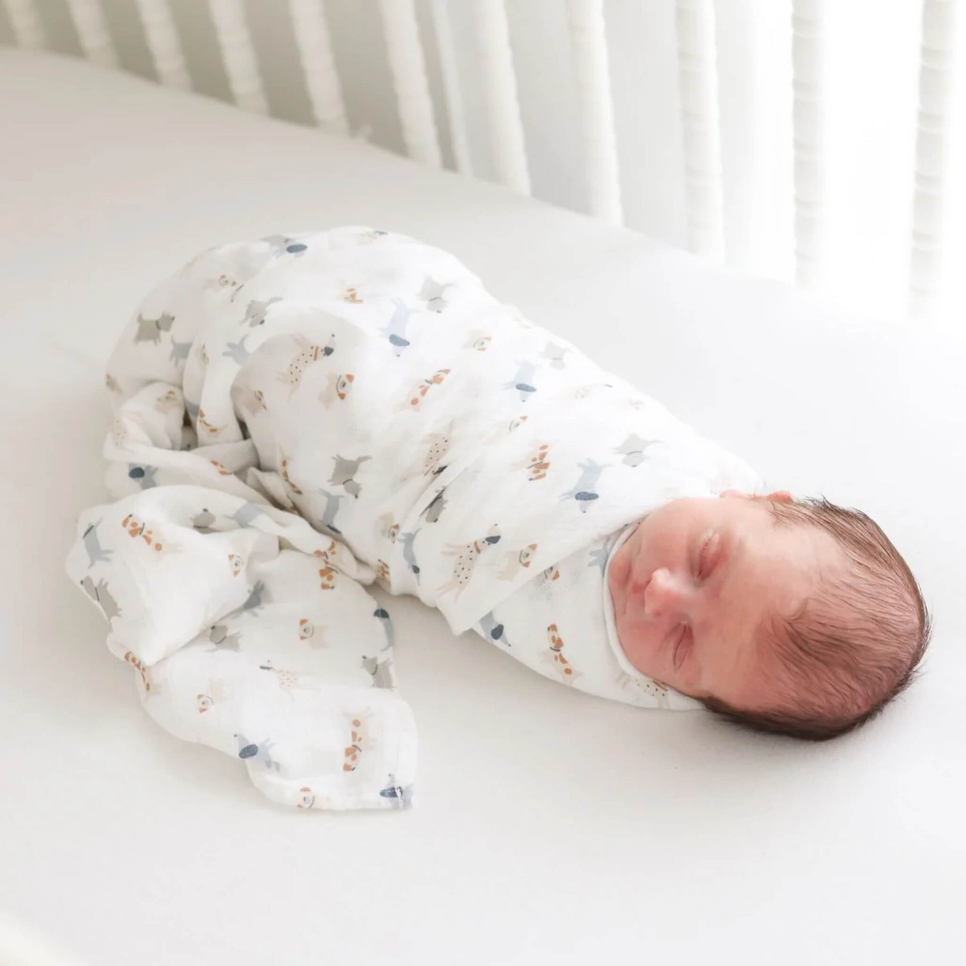 Sleeping baby wrapped in a white muslin swaddle patterned with grey and tan dogs wearing blue accessories.