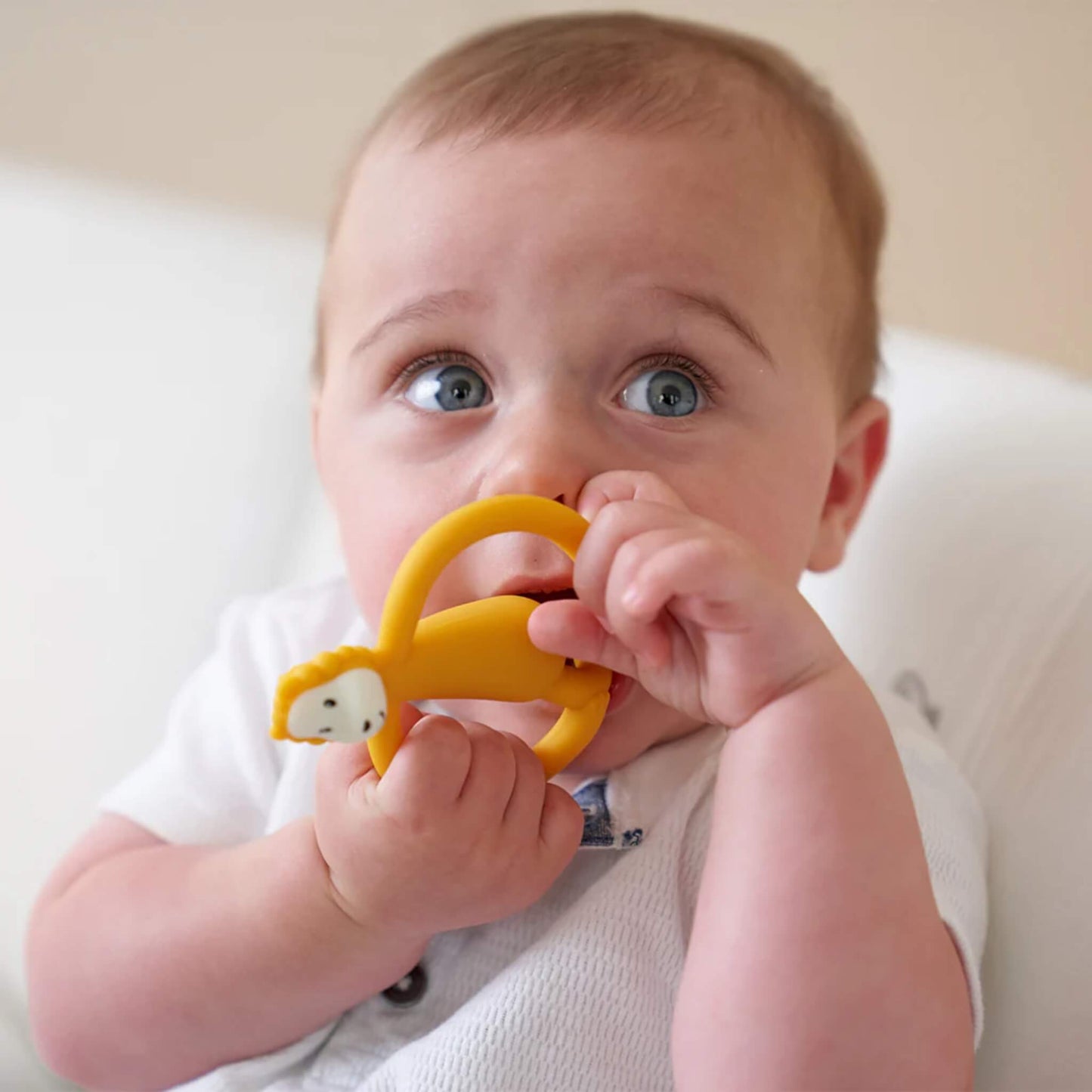 A baby holding a yellow lion teether close to their mouth while exploring the shape with their fingers.