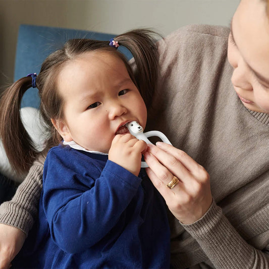 A toddler sitting on an adult’s lap chewing on a white polar bear teether while the adult supports the toy.