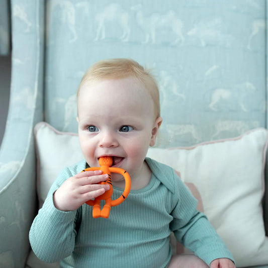 A baby sitting on a cushioned chair holding an orange tiger-shaped teether and chewing gently on the textured head.