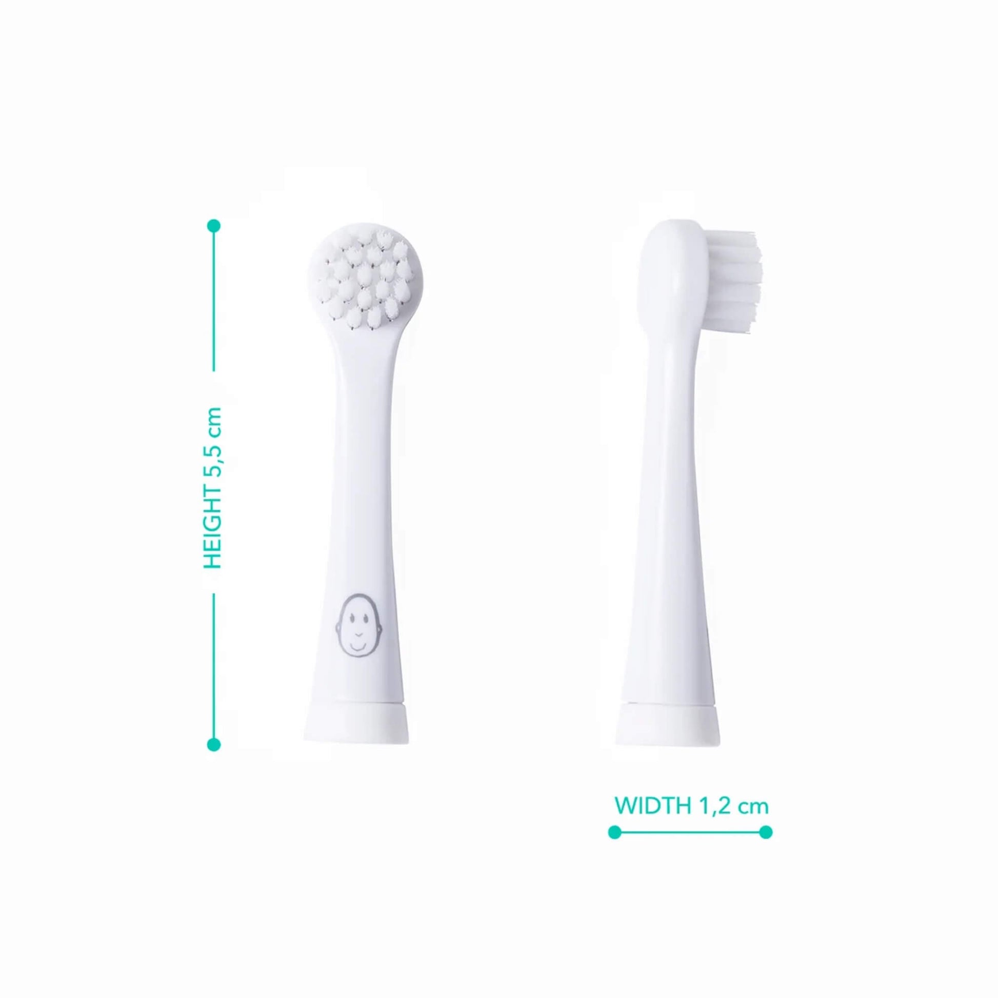 Two replacement toothbrush heads standing upright, one with soft white bristles and one with a rounded textured cleaning surface, shown on a plain white background with height and width measurements.