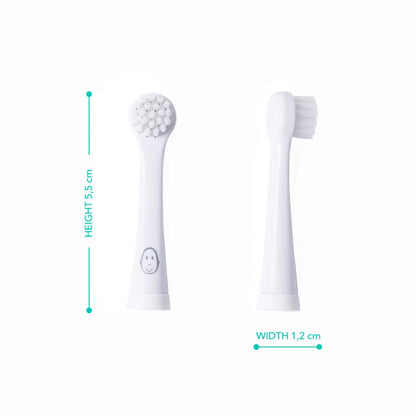 Two replacement toothbrush heads standing upright, one with soft white bristles and one with a rounded textured cleaning surface, shown on a plain white background with height and width measurements.