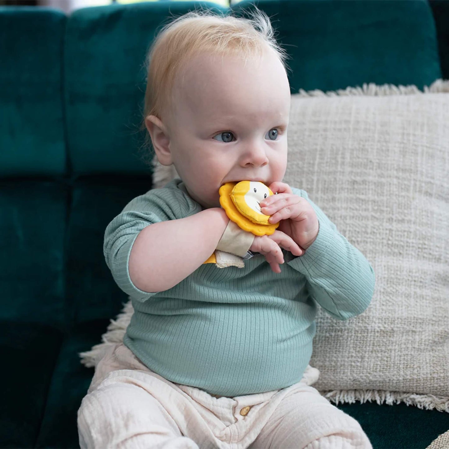 A baby sits on a sofa holding the lion-shaped wrist teether close to their mouth while chewing on the textured silicone edge.
