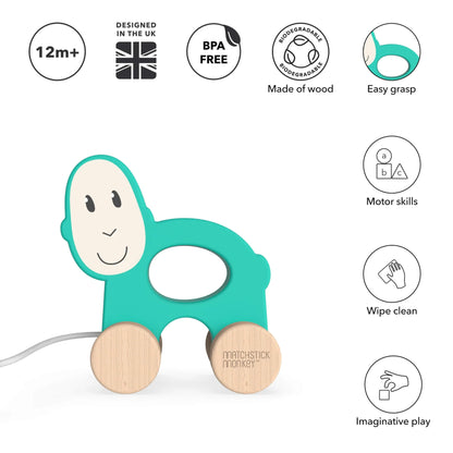 A turquoise monkey wooden pull-along monkey toy shown on a plain background with icons highlighting age guidance, materials and key features.