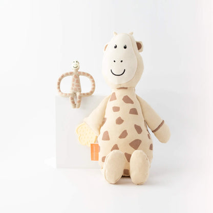 Matchstick Monkey Teething Plush Gift Set Giraffe featuring a soft giraffe comfort toy with attached textured silicone teether and matching giraffe-shaped teething ring.