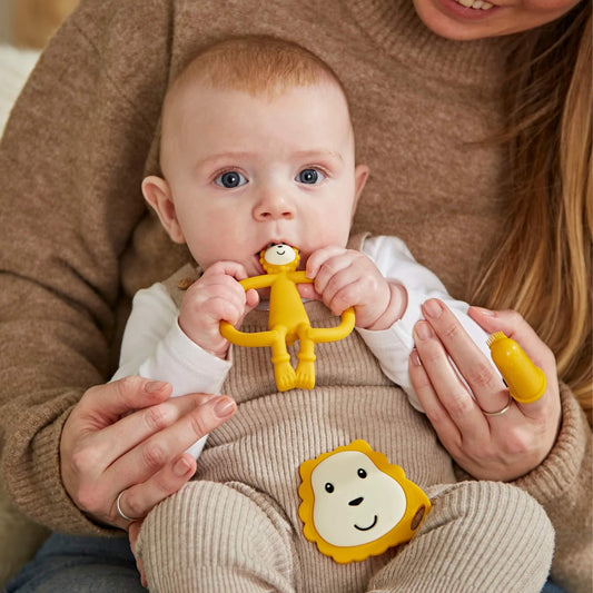 A baby sitting on an adult’s lap while chewing a lion-shaped teether with both hands.