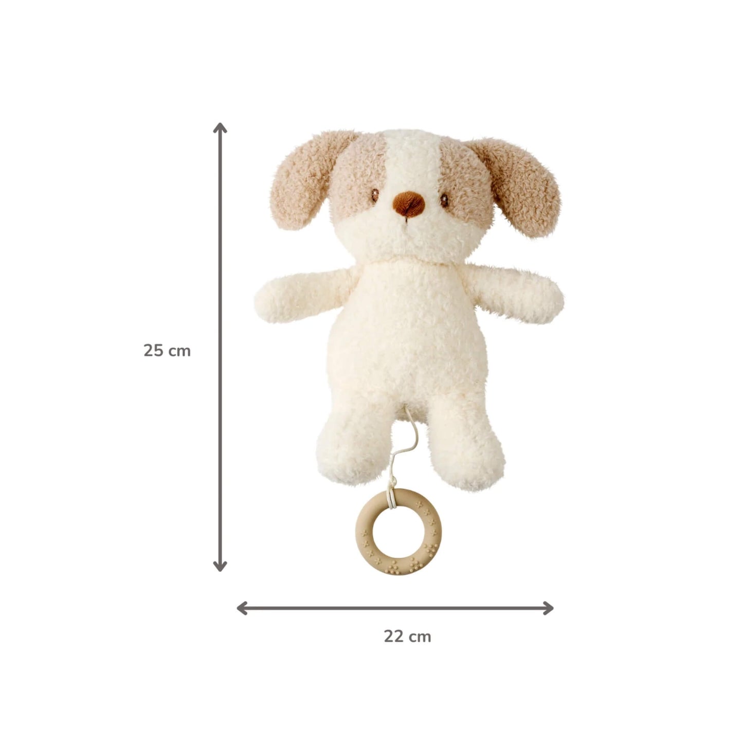 A plush dog musical toy is displayed front-facing against a white background with on-image measurements showing 25 cm in height and 22 cm in width.