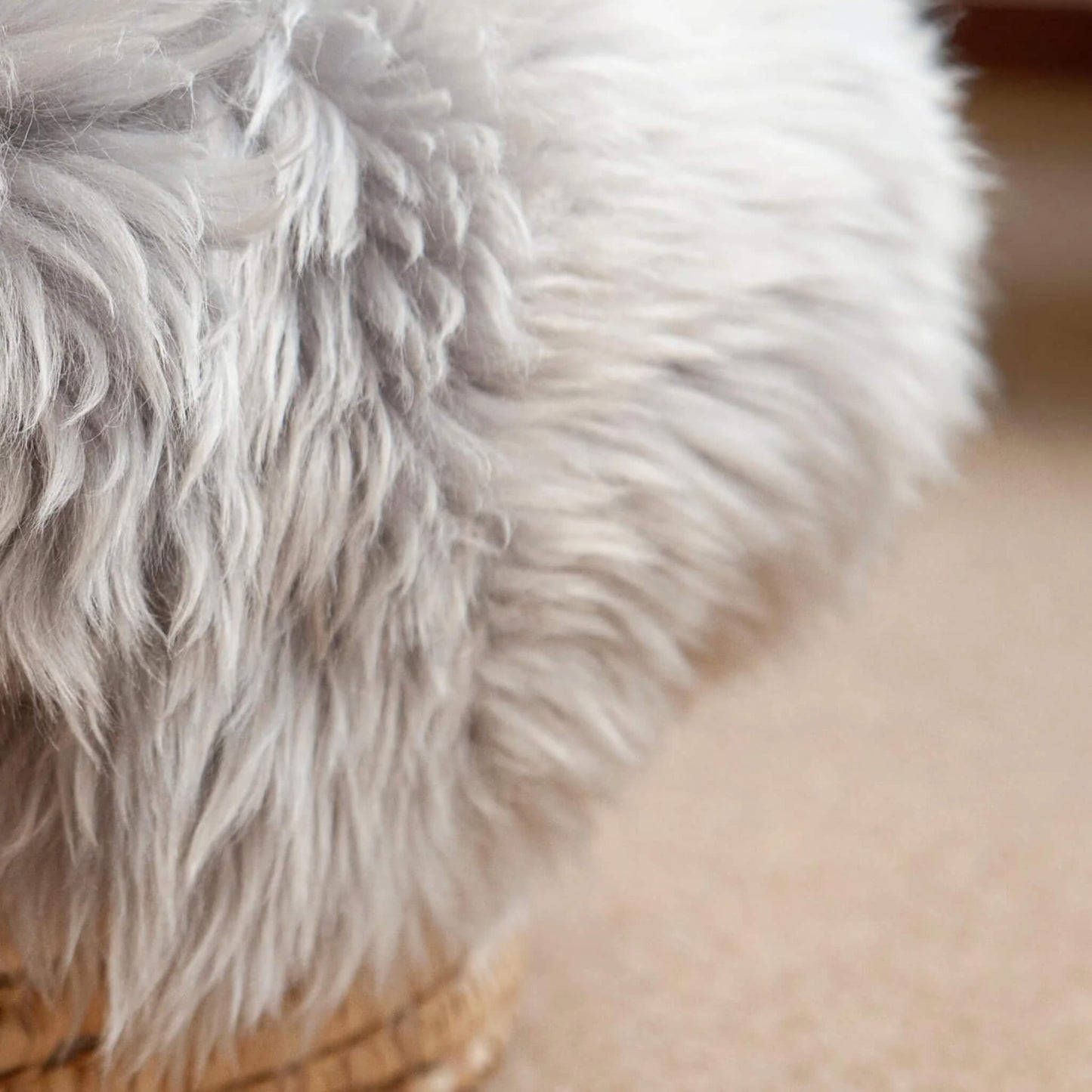 Close-up of grey sheepskin fibres highlighting the soft and fluffy texture.