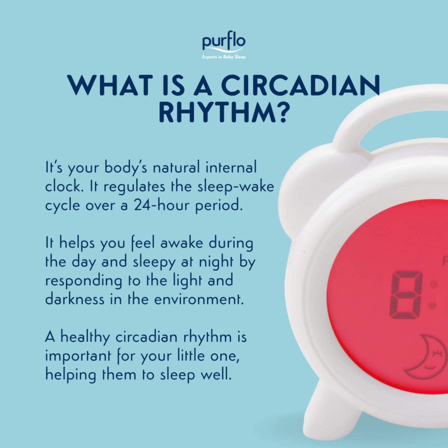 Graphic explaining circadian rhythm with text describing the body’s internal clock that regulates sleep and wake cycles over a 24-hour period and responds to light and darkness.