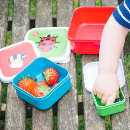 A child’s hand reaching into a small green snack pot containing blueberries, with an open blue pot holding strawberries and an empty red snack pot alongside two illustrated lids arranged on a wooden bench.