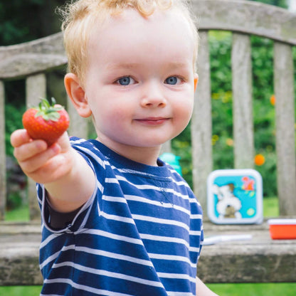 A young toddler with blond hair and blue eyes smiles while holding out a strawberry, wearing a navy blue and white striped shirt. The background shows a wooden garden bench with a blurred green garden setting.
