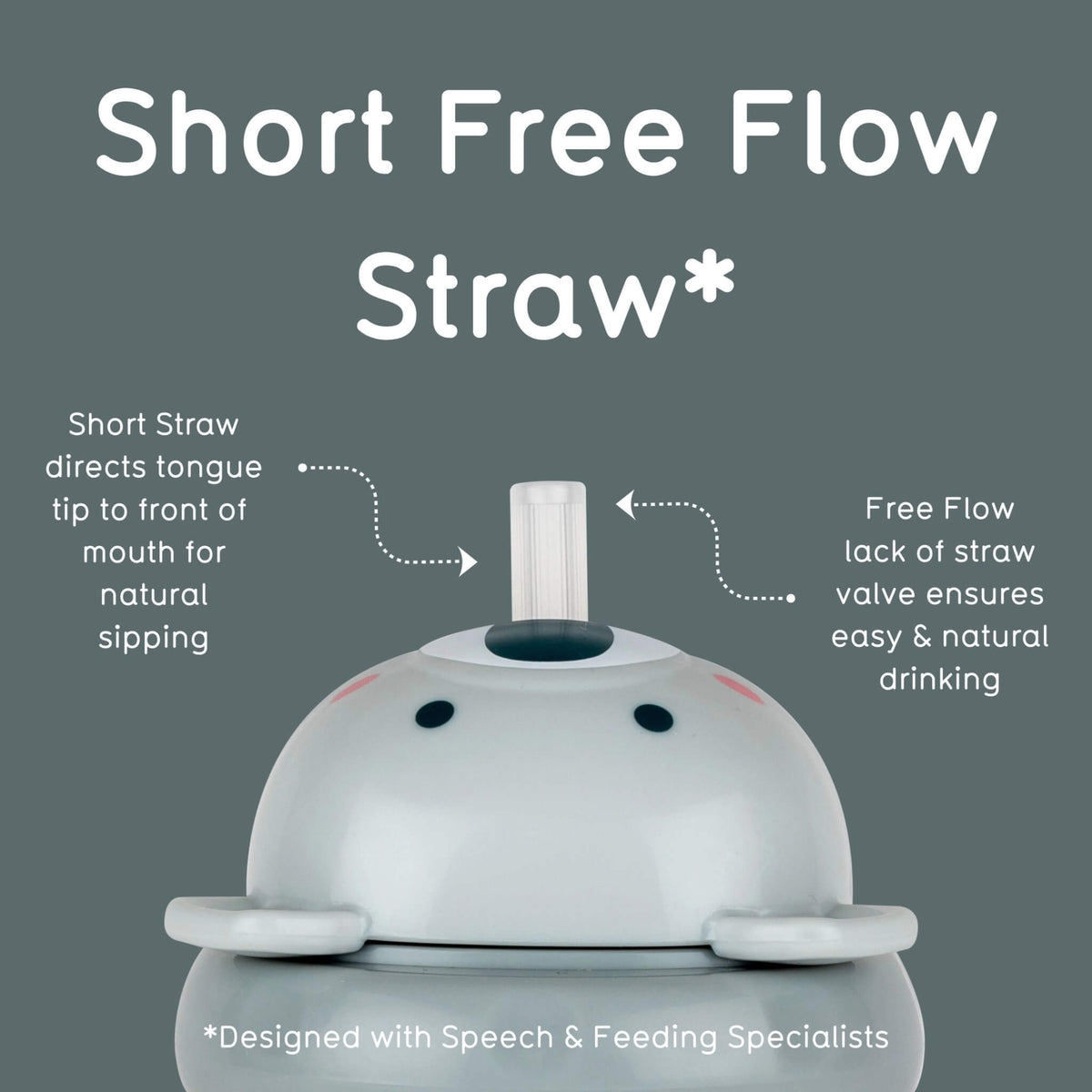 Koala themed lid of grey sippy up cup with text explaining 'Short Free Flow Straw' on a grey background.