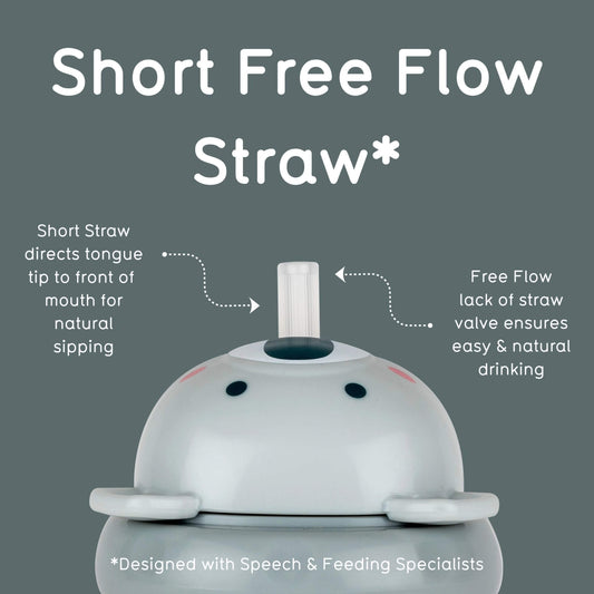 Koala themed lid of grey sippy up cup with text explaining 'Short Free Flow Straw' on a grey background.