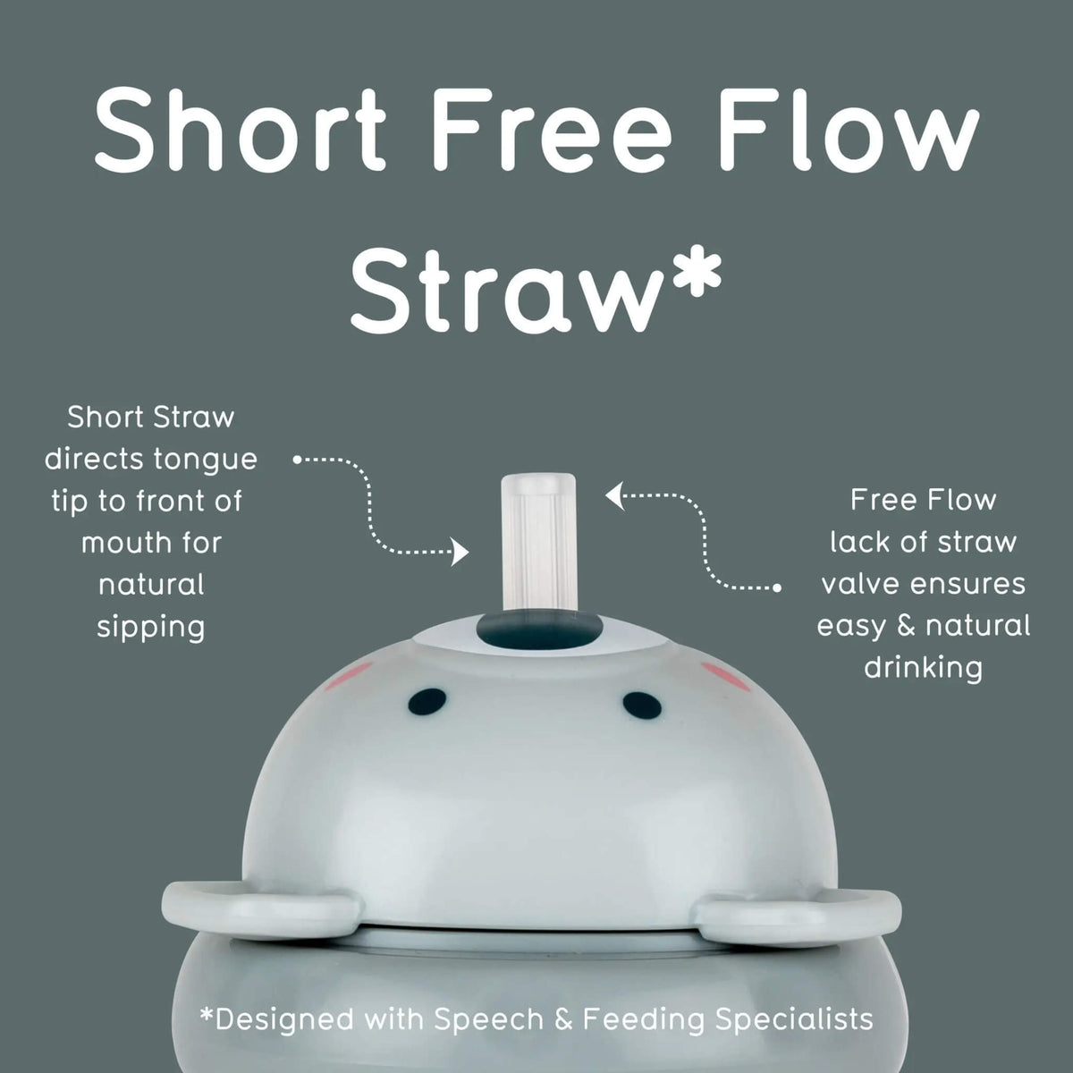 Graphic of a grey koala design sippy cup lid with text explaining 'Short Free Flow Straw' on a grey background
