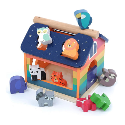 A wooden rainbow-coloured house shape sorter with animal blocks, including an owl and lion placed in roof slots.