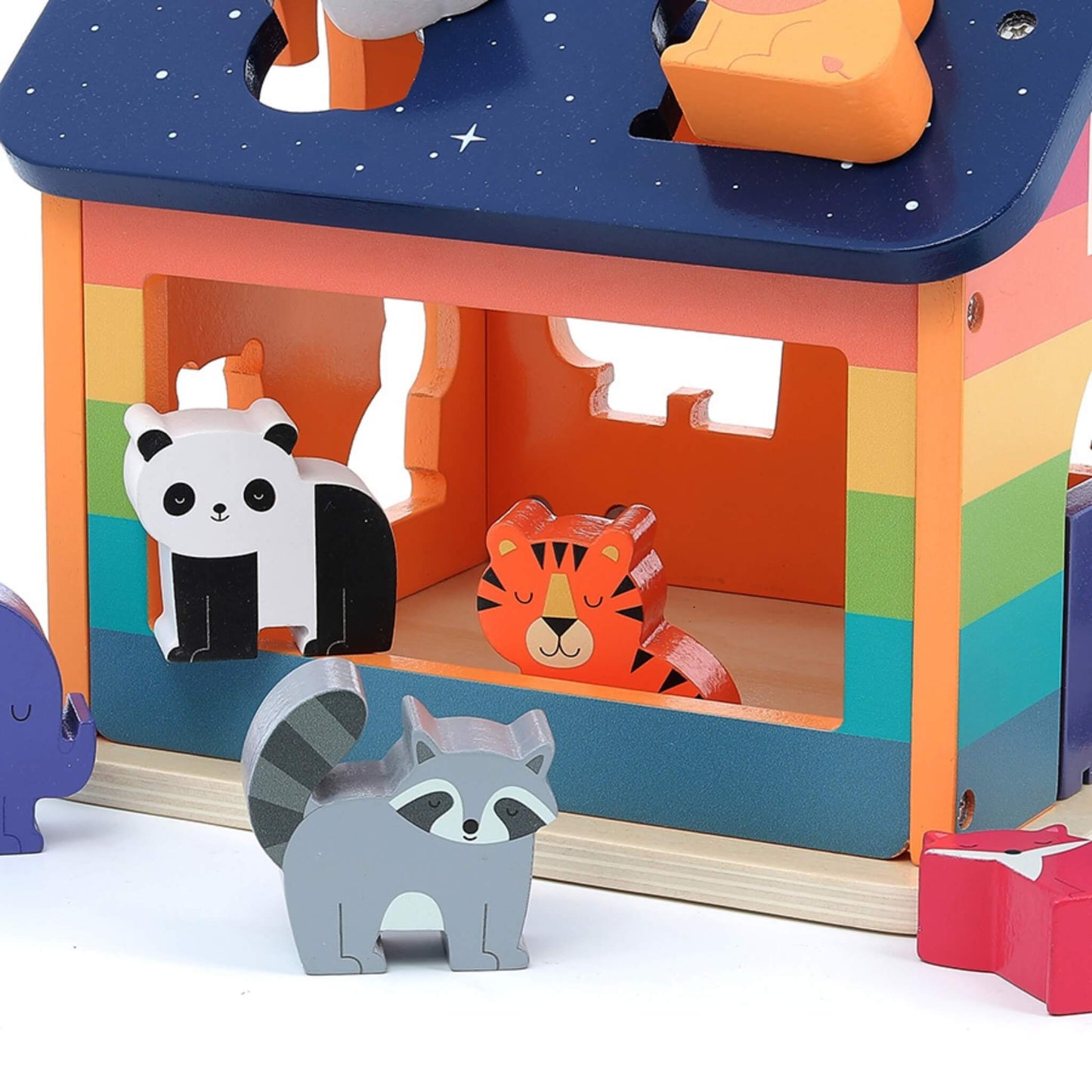 Close-up of a wooden panda and tiger inside a rainbow-coloured shape sorter with a raccoon block in front.