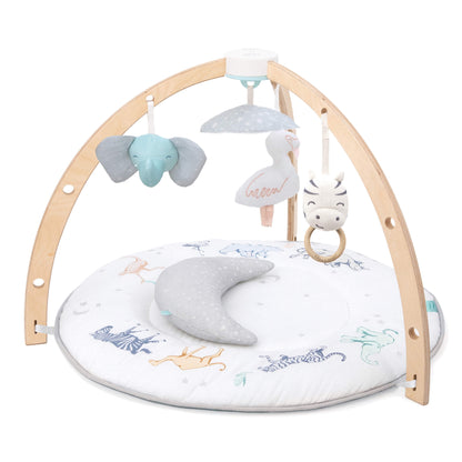 Aden + Anais Rising Star baby activity gym with grey star-print mat, birchwood arches, and sensory toys.