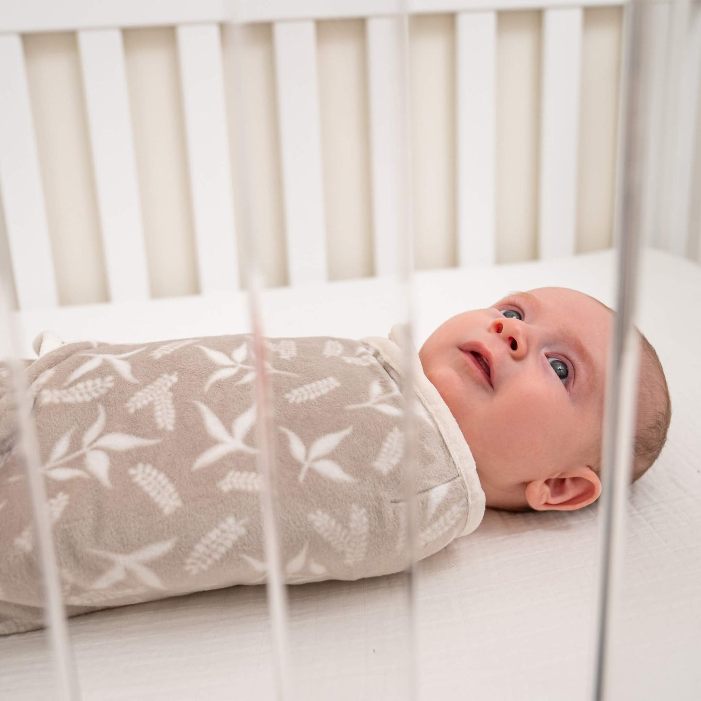 Baby resting on their back in a cot, swaddled in the beige Rockland Marsh velboa wrap with soft leaf print.
