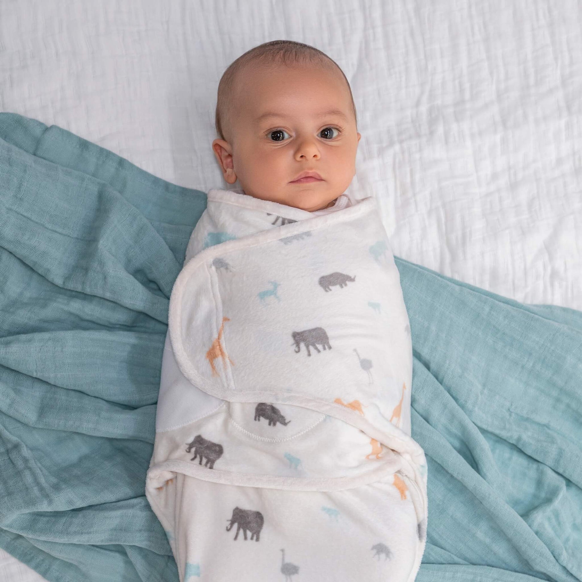 Baby wrapped in the safari animal swaddle lies on a bed with a soft teal muslin beside them.