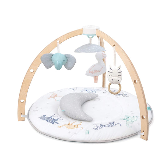 The aden + anais Baby Activity Gym, thoughtfully designed and versatile product aimed at promoting a baby's development and providing a safe and enjoyable playtime experience.
