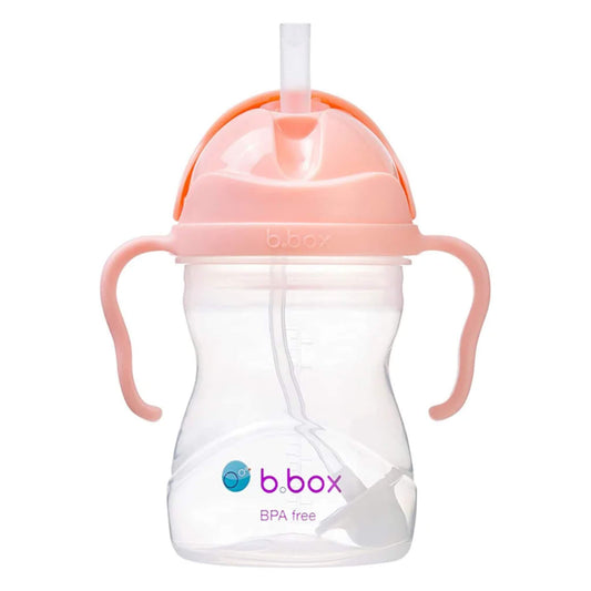 b.box Sippy Cup in the Tutti Frutti colourway shown upright with a clear body, peach-pink handles and a visible weighted straw inside.