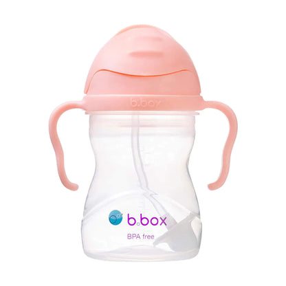 A peach-pink sippy cup with the flip-top lid closed, showing the curved handles and clear cup body.