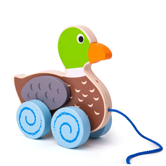 This cute and colourful Duck Pull Along Toy is ready for a stroll! Encourage your youngster’s dexterity and mobility with this friendly pull along toy. 