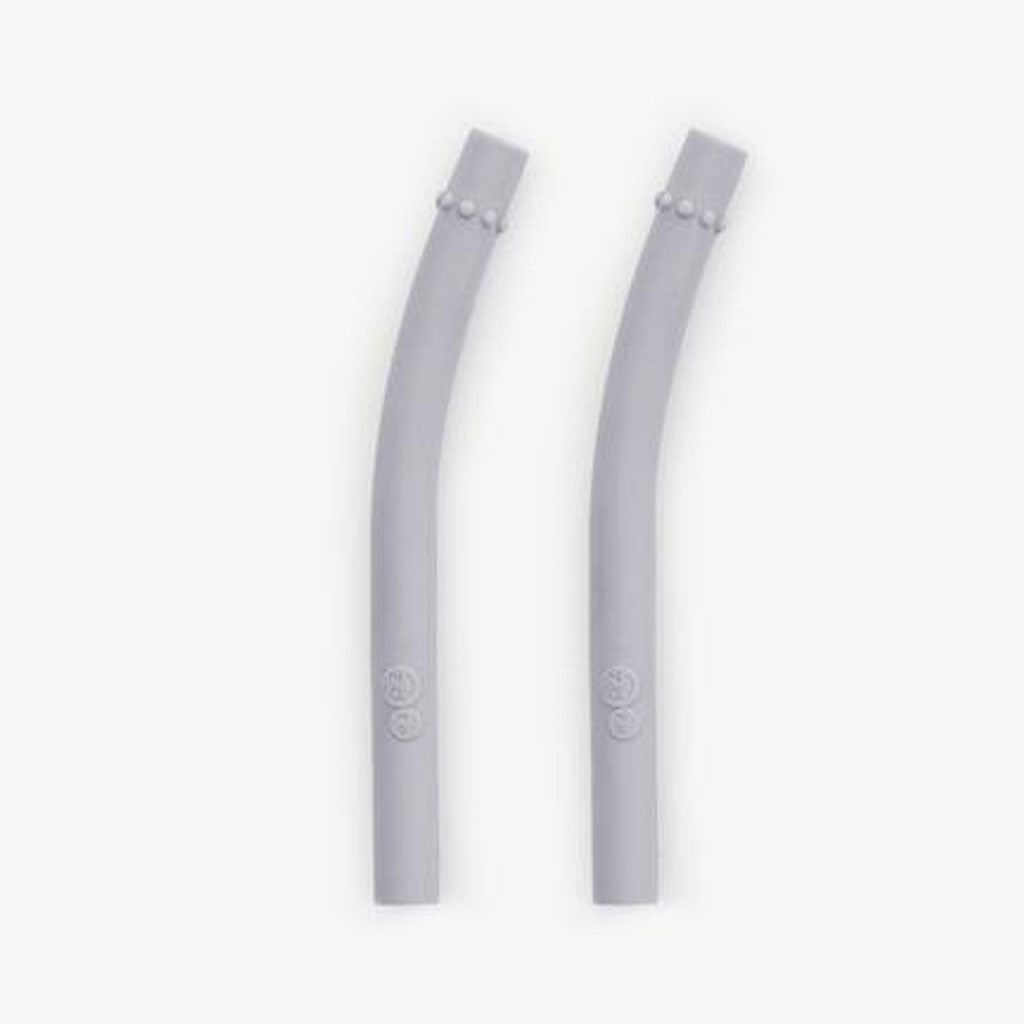 Replacement straws for the EzPz Mini Cup + Straw training system.  Pack of 2 straws.