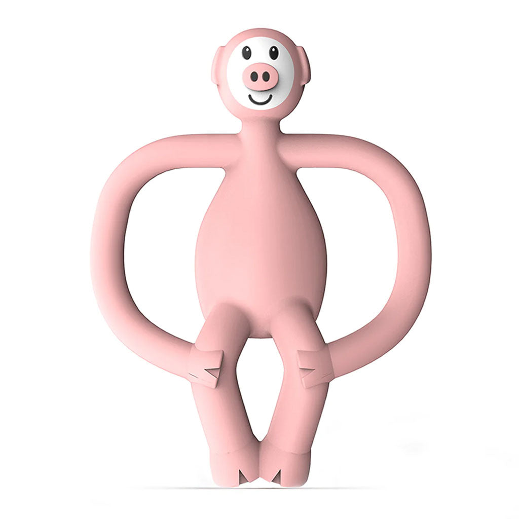 Matchstick Monkey Animal Teether (Pickle Pig)