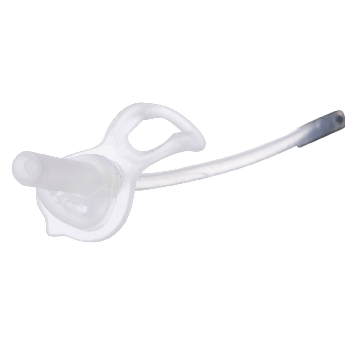 b.box Sippy Cup Replacement Straw & Cleaner